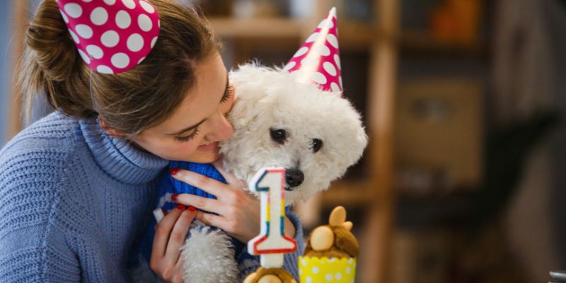 Planning the Perfect Birthday Party: A Complete Guide to Petting Zoo Celebrations