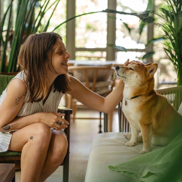 Happy pets and families